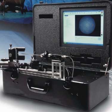 �t�ÃȸQ�R�����|���yԇϵ�yEndobench