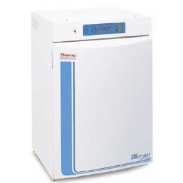 ΢�������B��311